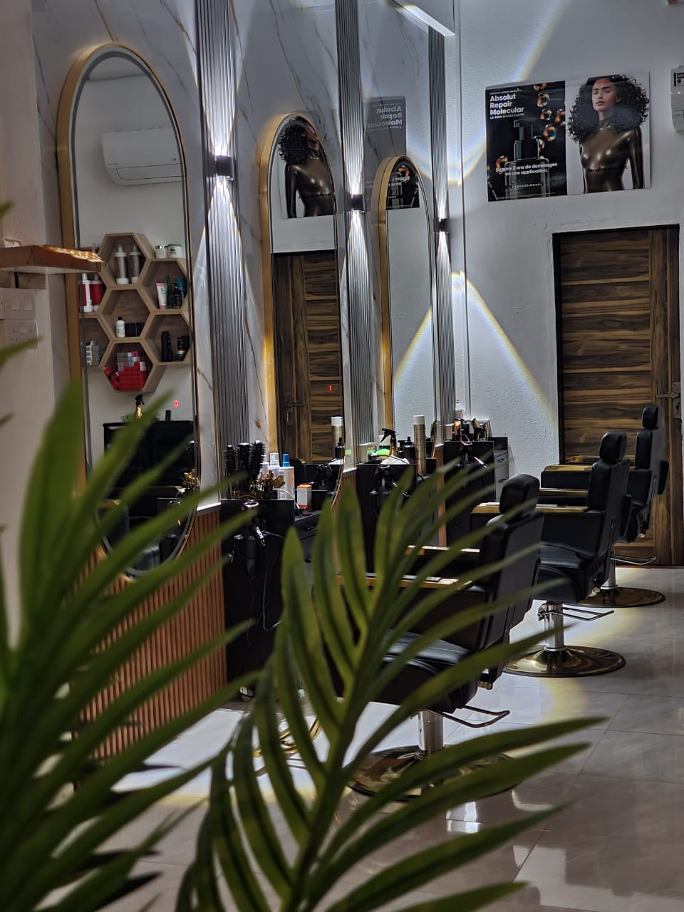 WhatsApp Image 2026-02-16 at 1.27.24 PM (1)